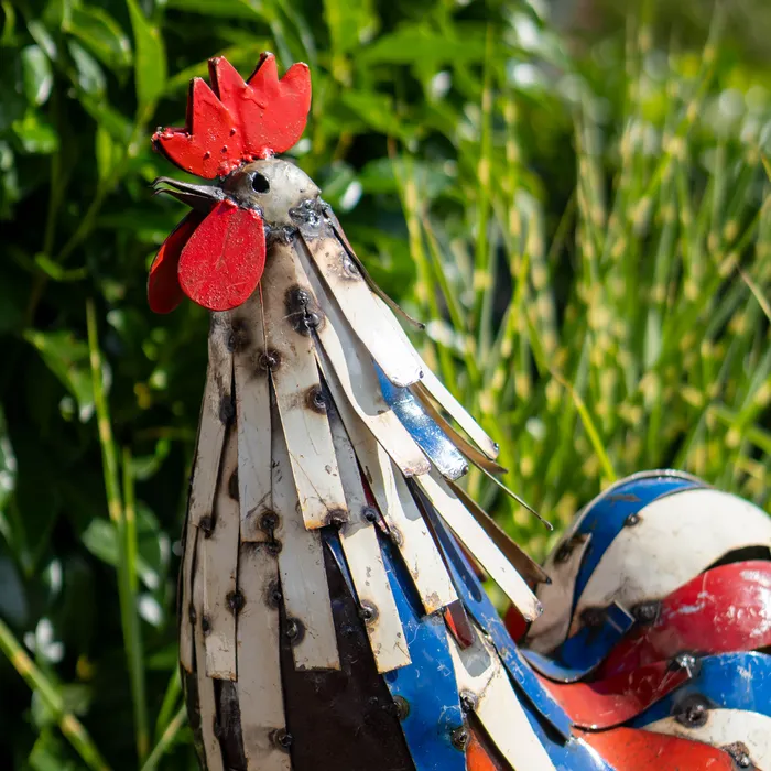 Coq - bleu blanc rouge