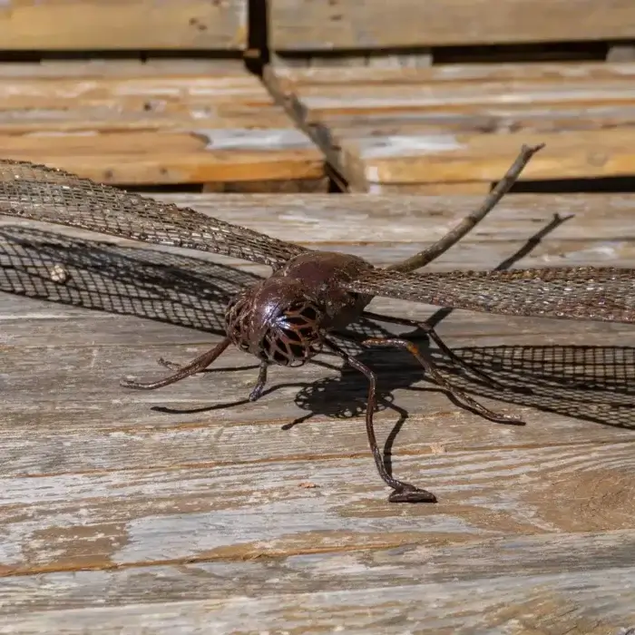 Libellule - sculpture murale XL