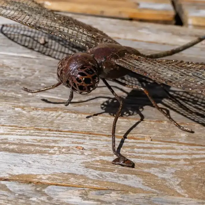 Libellule - Sculpture mural en métal recyclé & récup - 4
