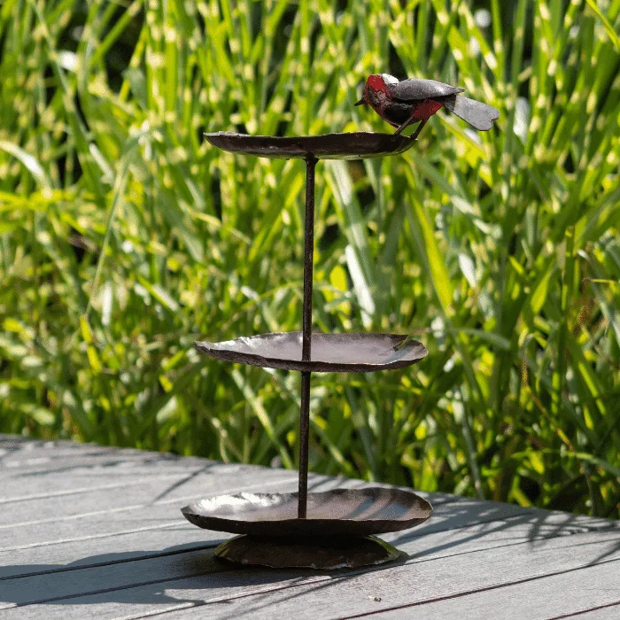 Mangeoire à oiseaux triple robin en exterieur - 2