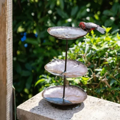 Mangeoire à oiseaux triple robin en exterieur