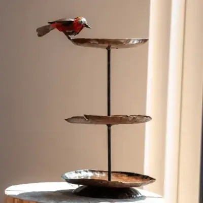 Mangeoire à oiseaux triple robin sur un tronc