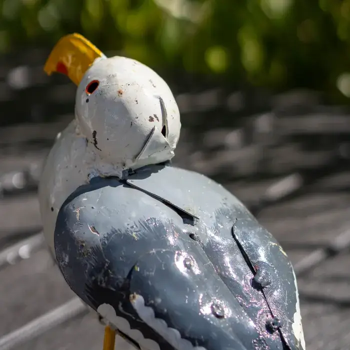 Mouette - Animaux en métal recyclé - sculpture oiseau - 4