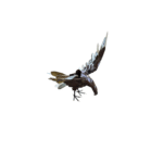 Sculpture aigle