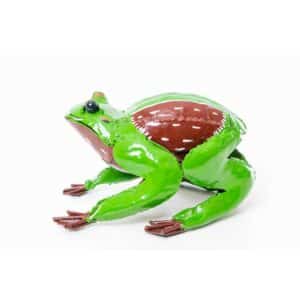 Grenouille colorée - image