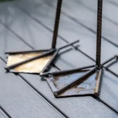 Zoom sur les pieds du Flamant Bleu