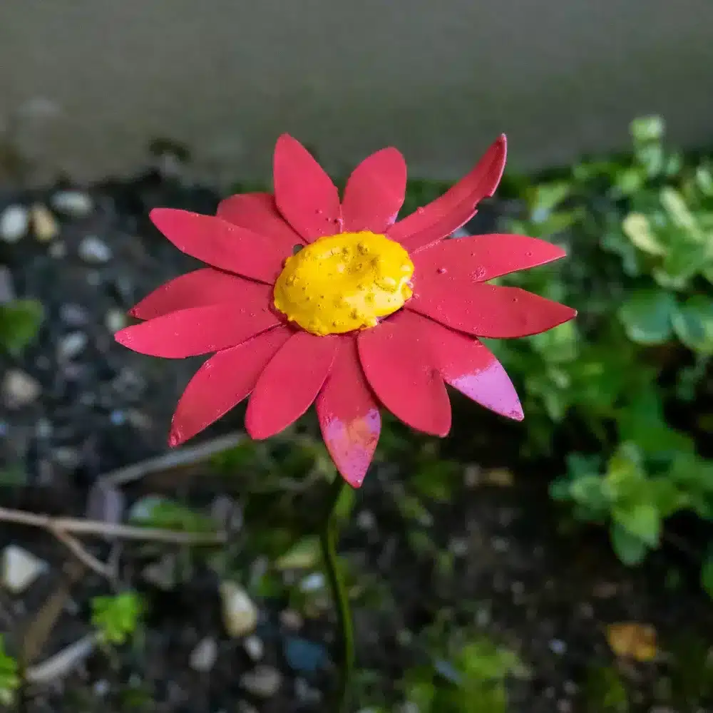 Marguerite rose - fleur en fer forgé pour jardin - décoration métal - 2